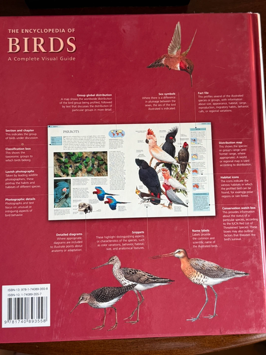 The Encyclopedia of Birds: A Complete Visual Guide - photo 4