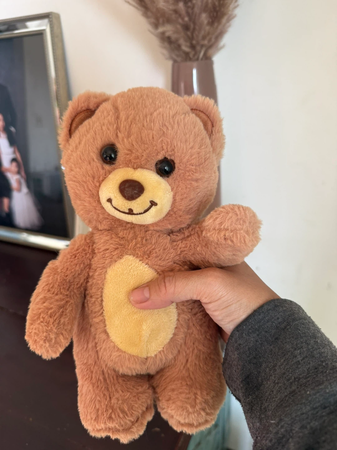 Brown Teddy Bear Stuffed Animal