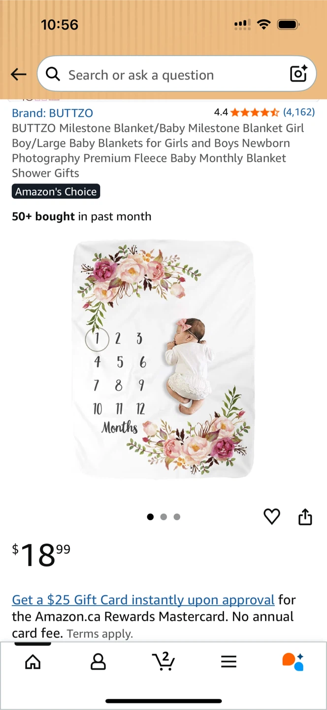 Baby Milestone Blanket