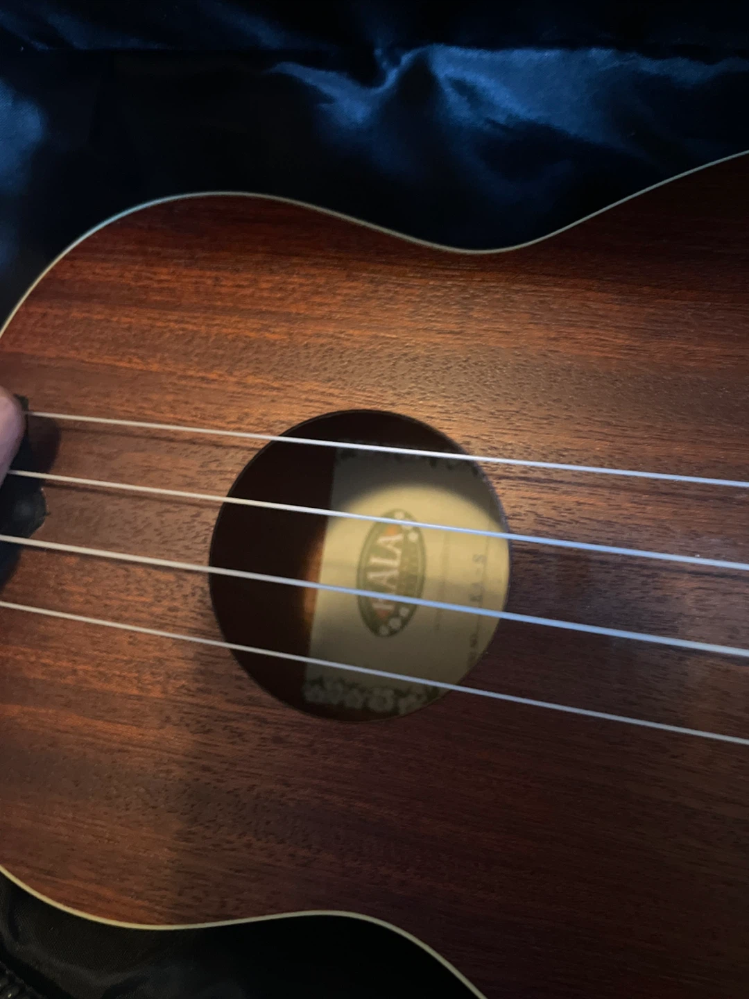 Kala Ukulele with Crossrock Gig Bag - photo 3