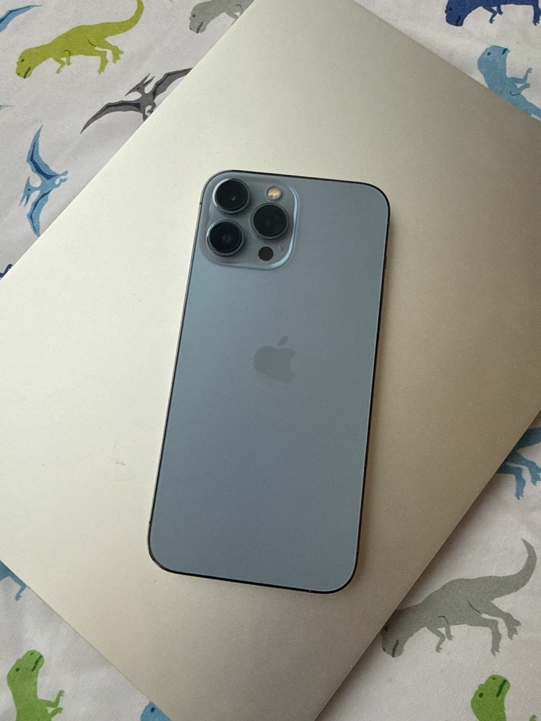 Apple iPhone 13 Pro Max - Sierra Blue - photo 2