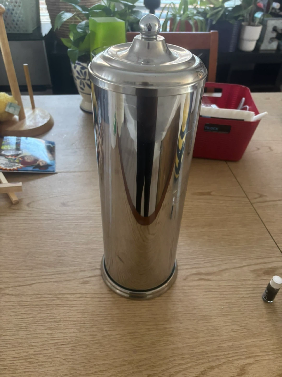 Stainless Steel Toilet Paper Holder with Lid