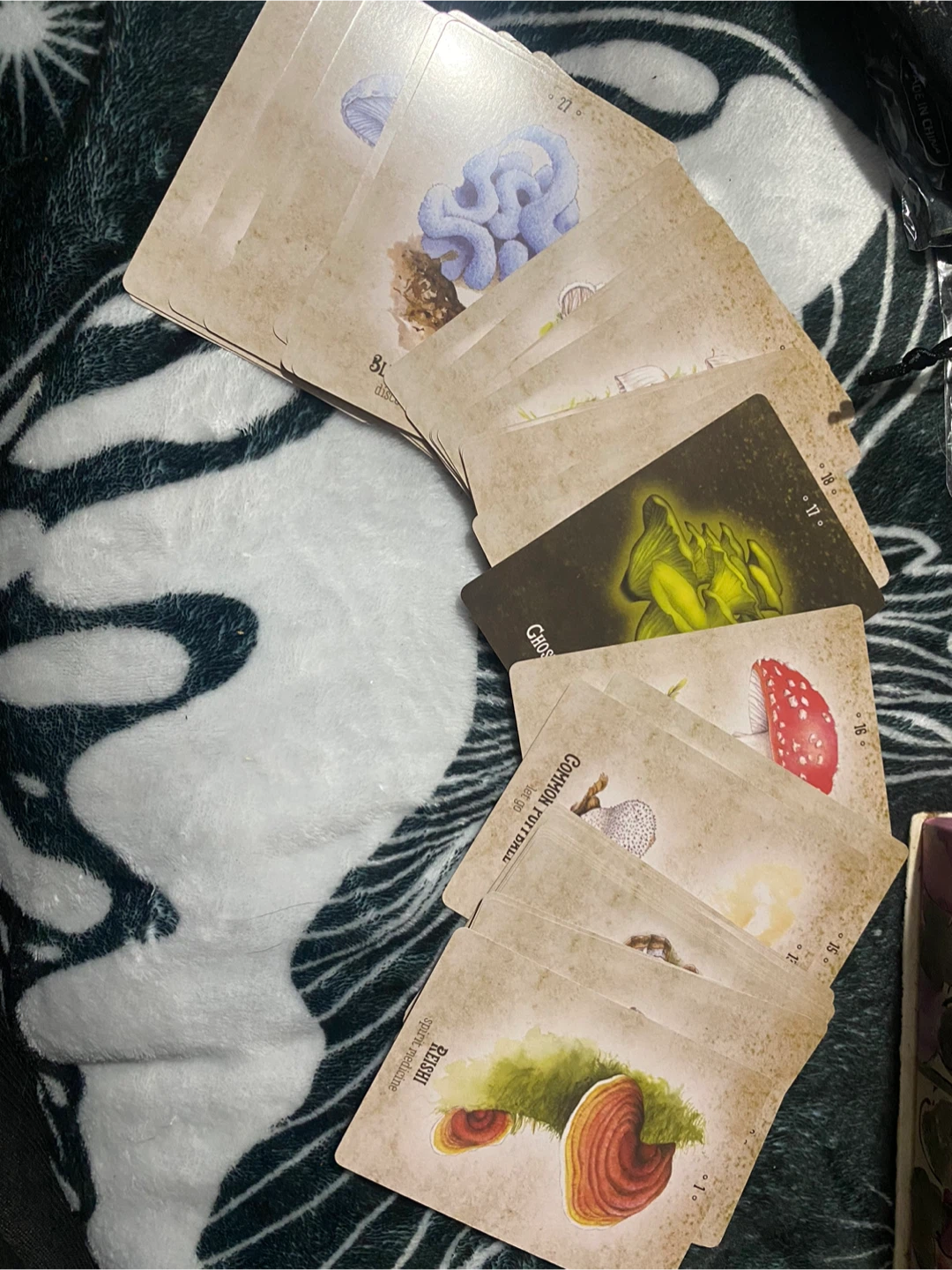 Mushroom Spirit Oracle Cards by Nicola McIntosh - photo 2