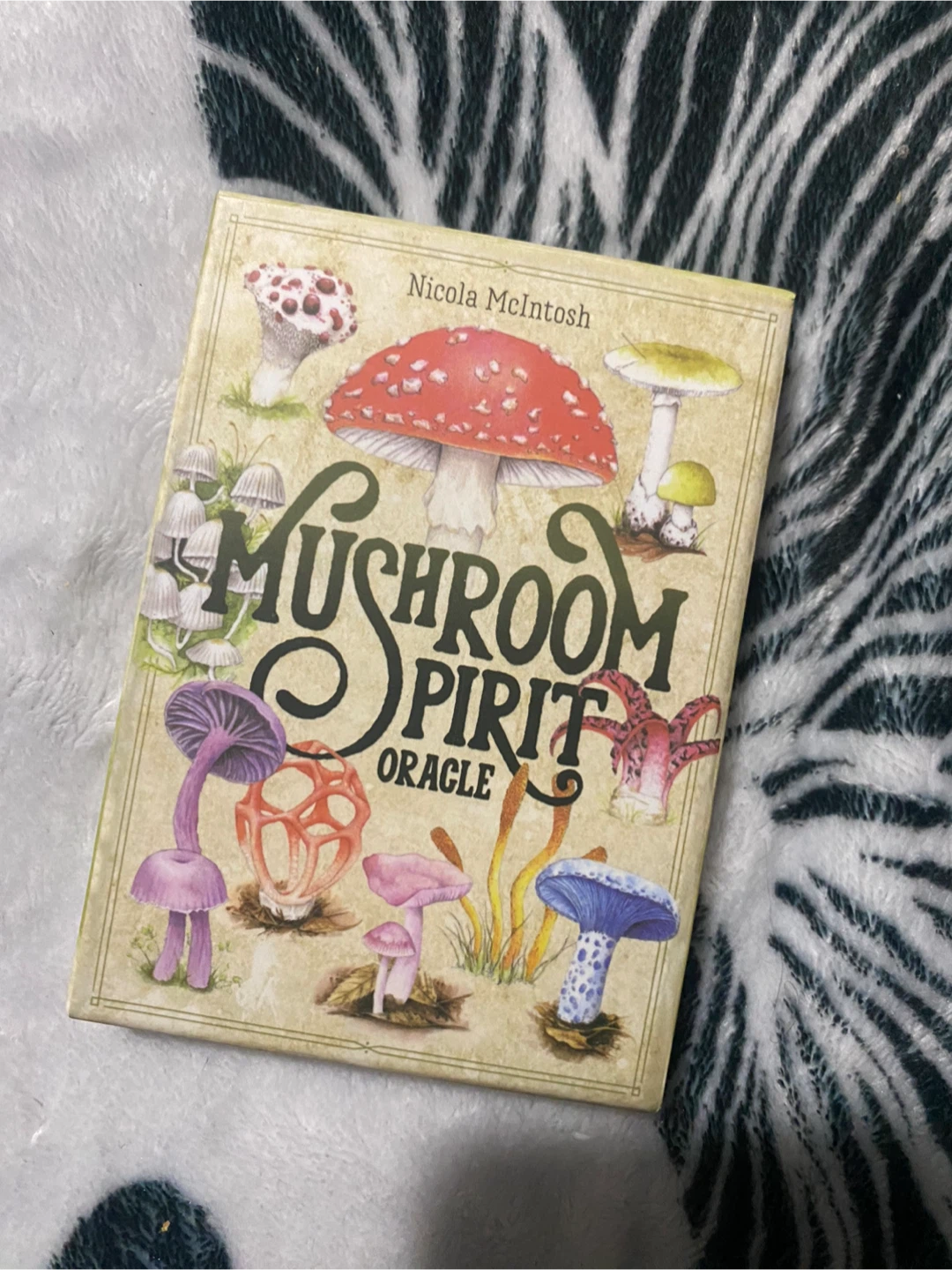 Mushroom Spirit Oracle Cards by Nicola McIntosh