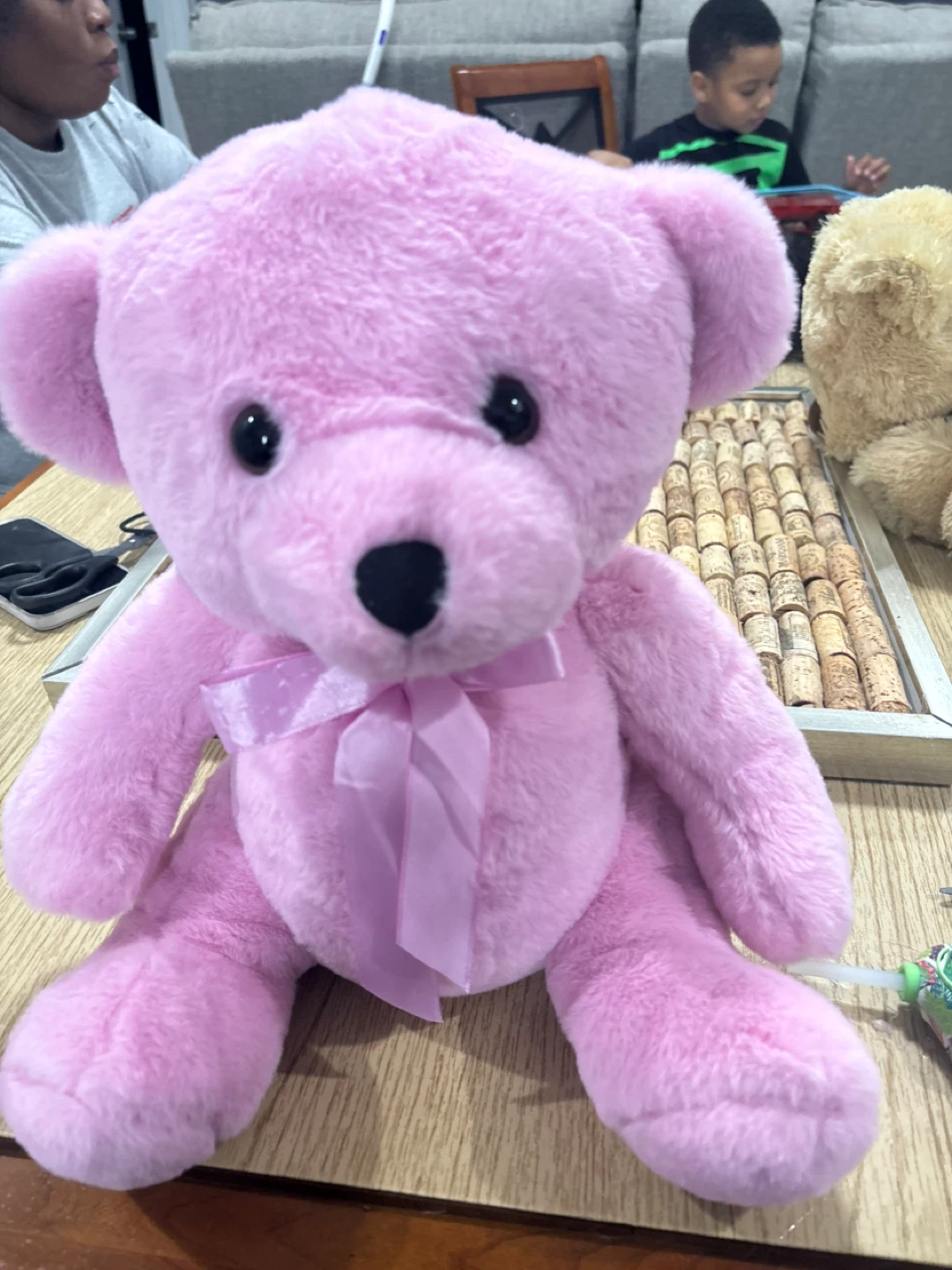 Hide- a-Bear: Pink Teddy Bear Plush with Jar - photo 4