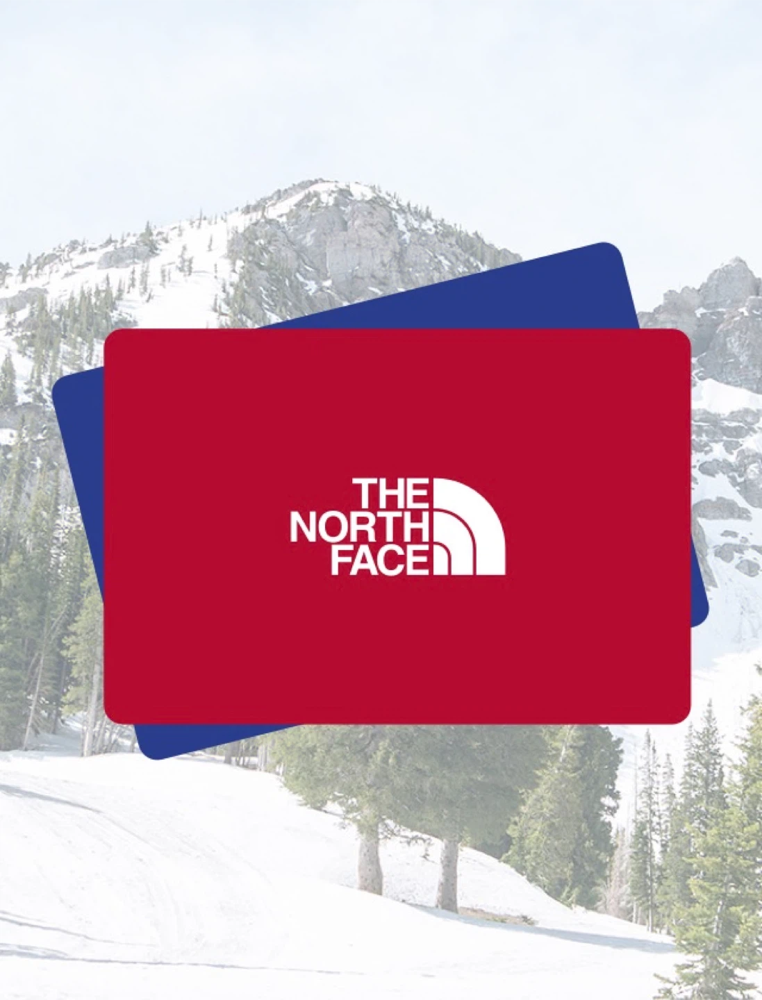 Authentic Gift Cards - photo 3