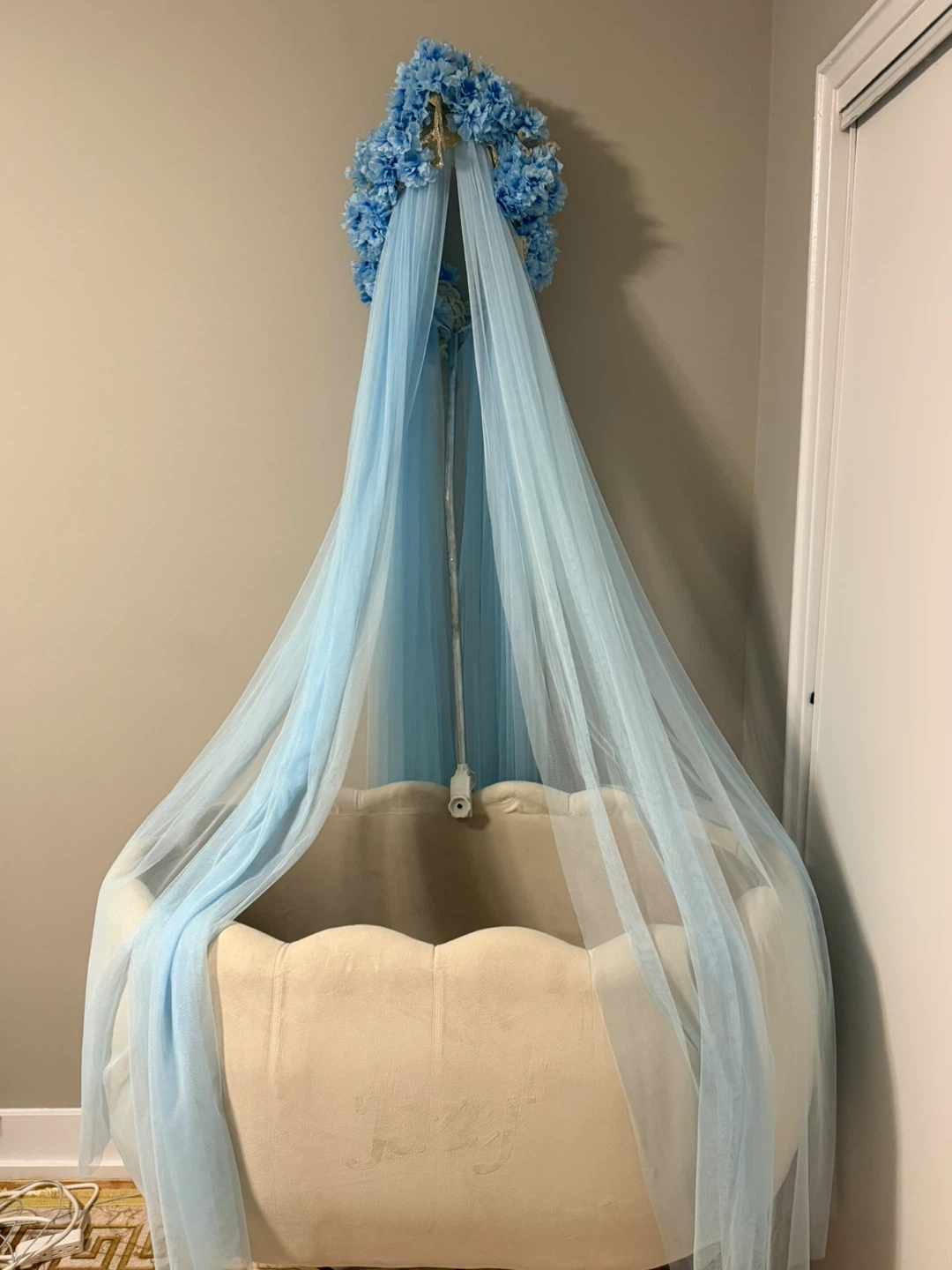 Velvet Oval Bassinet with Canopy