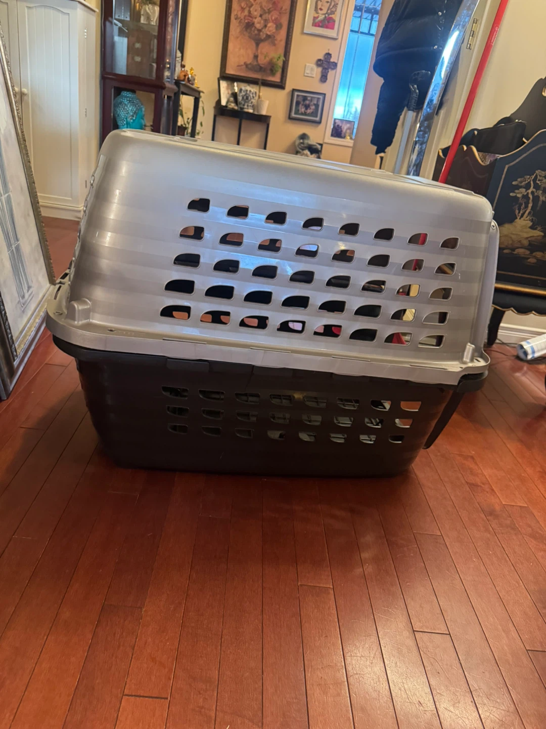 Petmate Pet Carrier