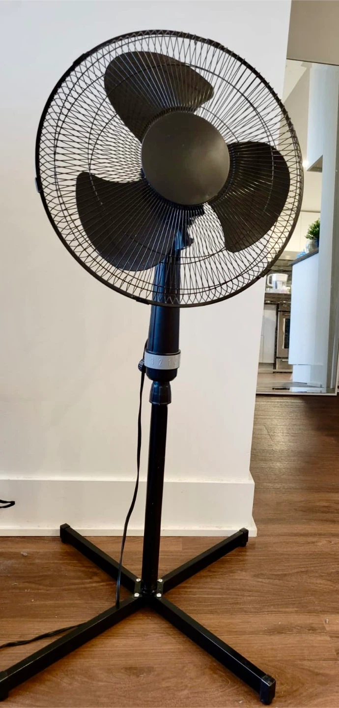 Electric Black Standing Fan