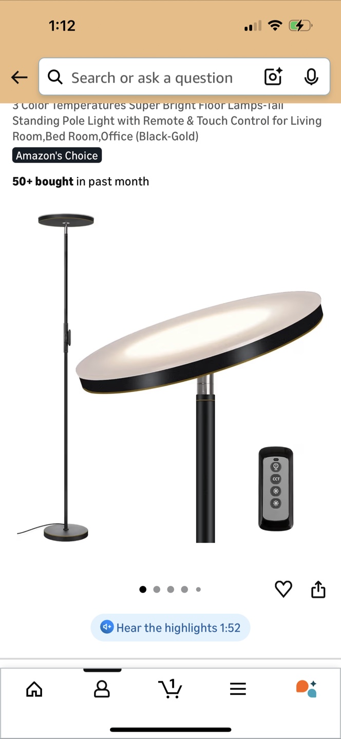 Standing floor lamp Light