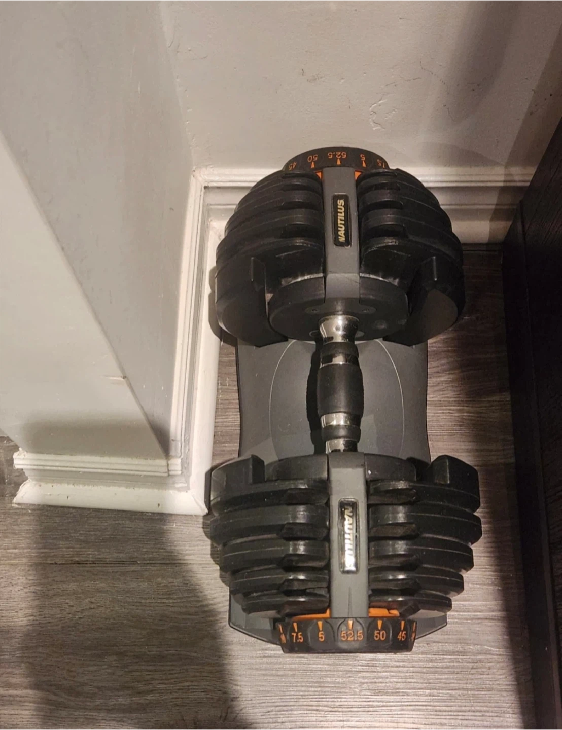 Nautilus Adjustable Dumbbell