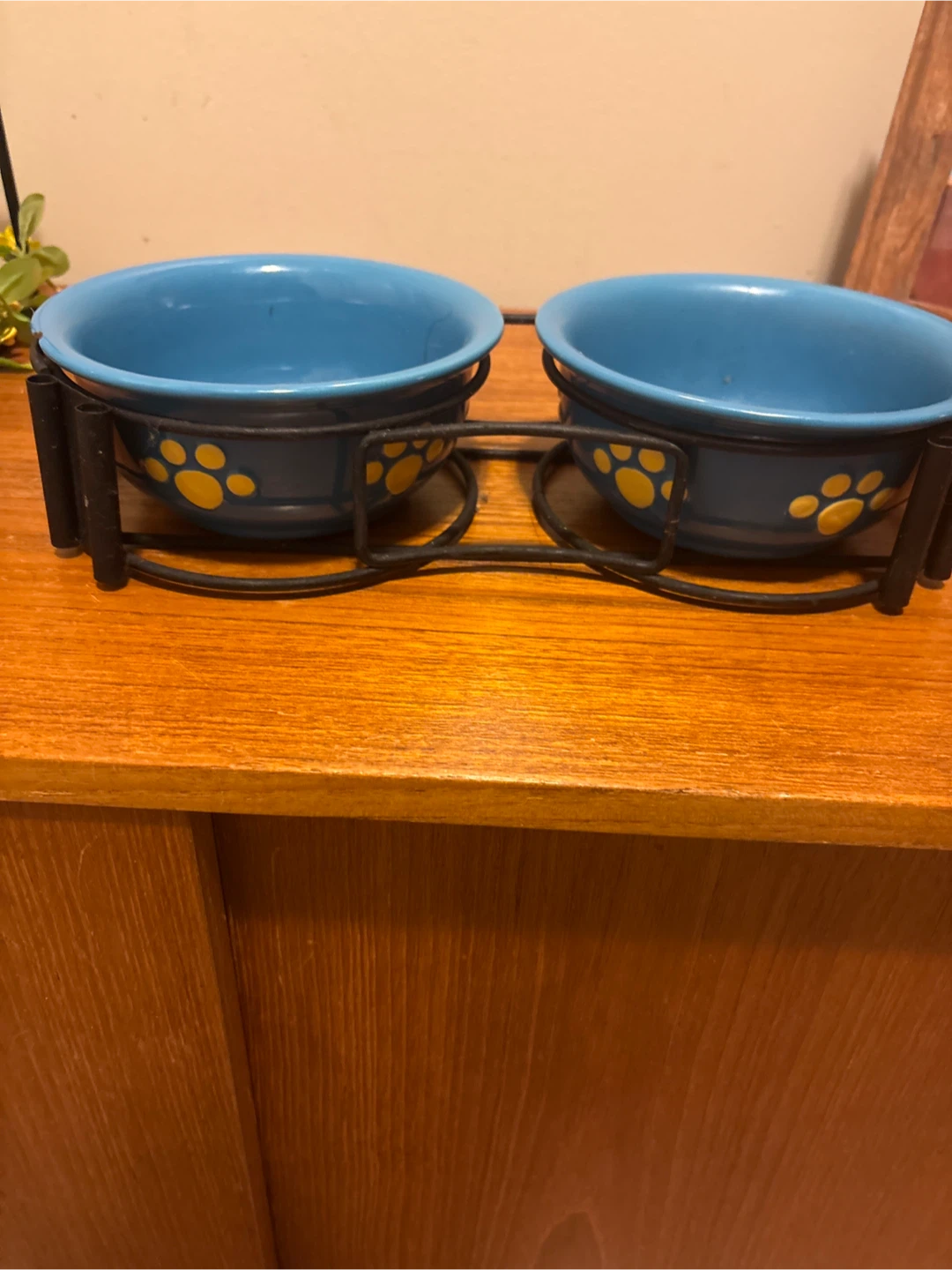 Pet Food set in metal stand for smaller dogs - photo 2