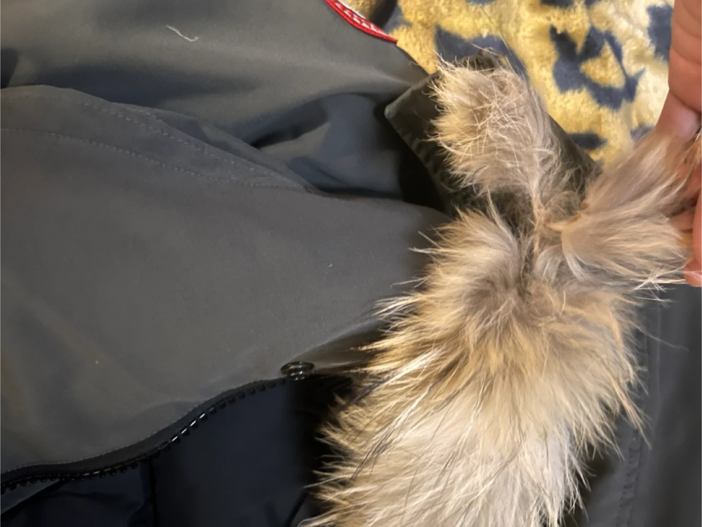 Canada Goose Down Parka Jacket - photo 4