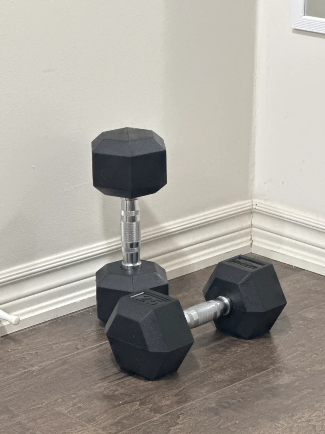 25 lb Hex Dumbbells (Pair)