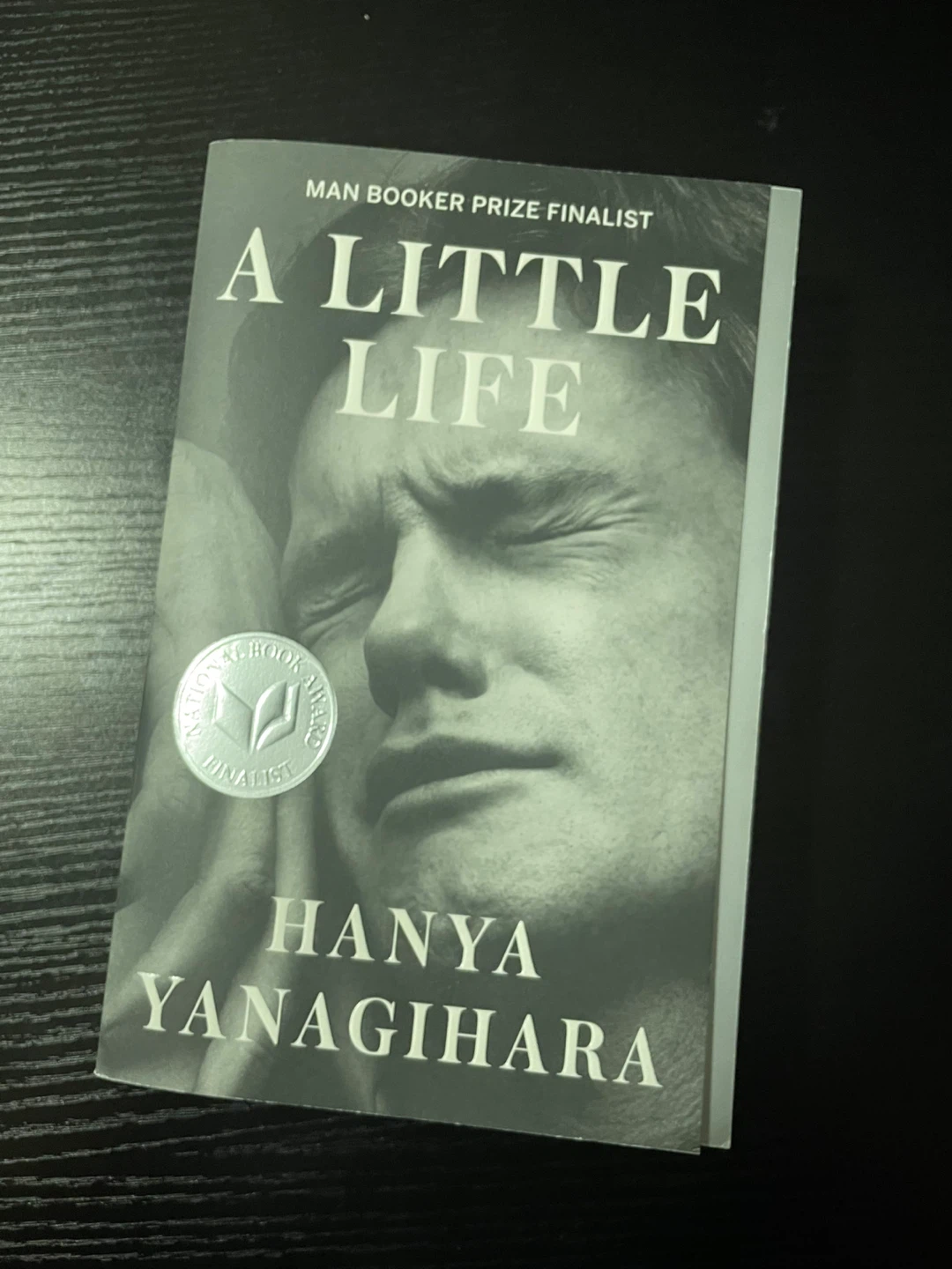 A Little Life by Hanya Yanagihara Paperback Book