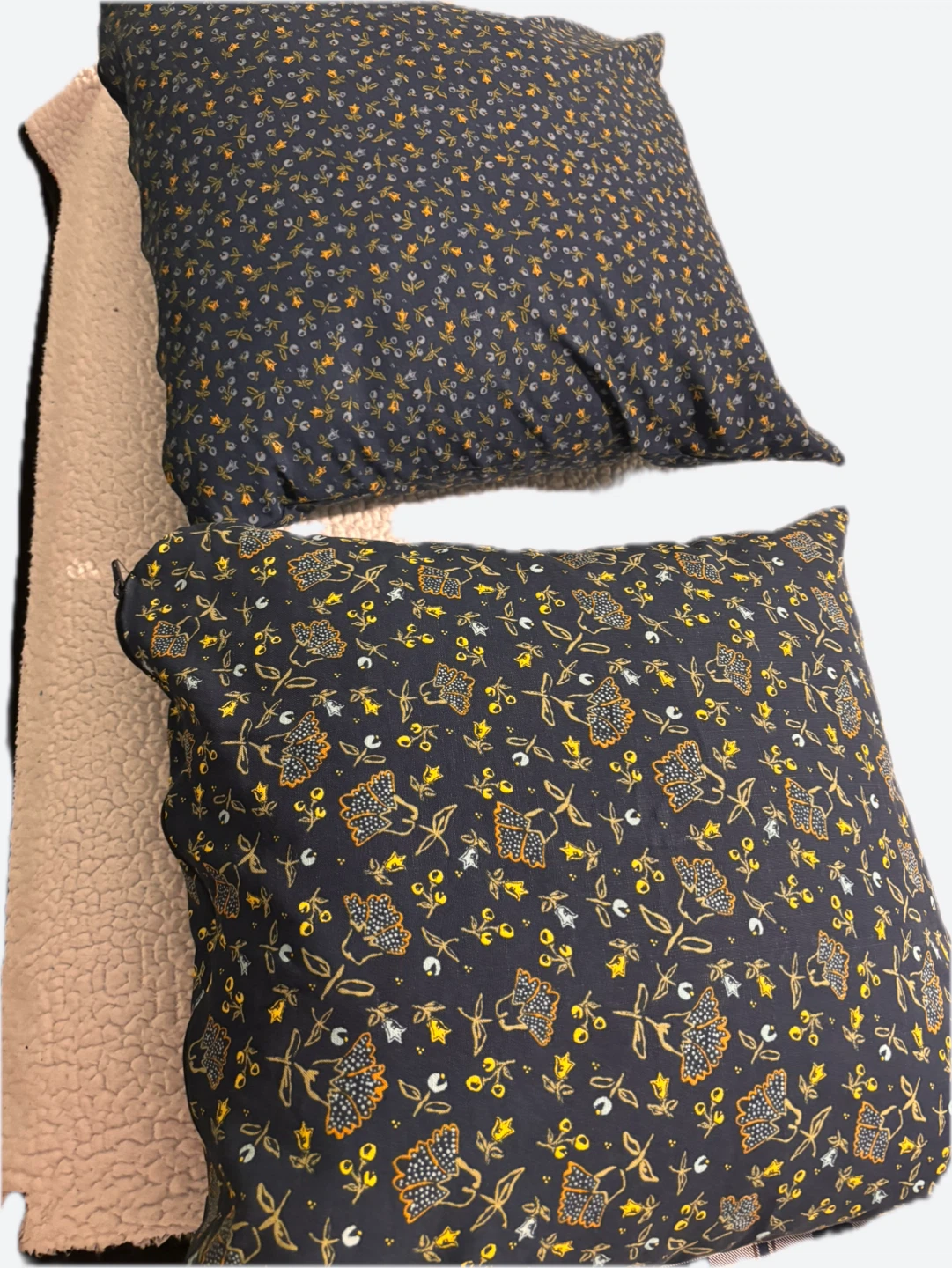 Decorative Pillows (Set of 2)