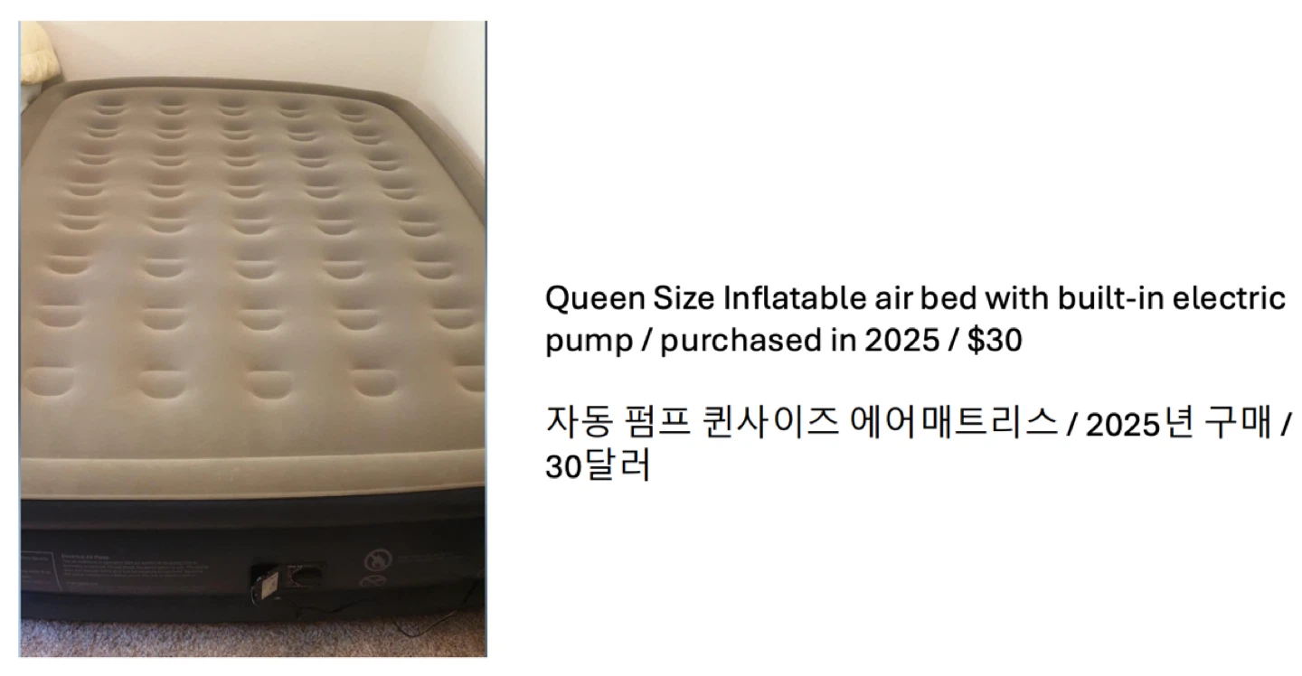 Queen Size Inflatable Air Bed with Built-in Pump