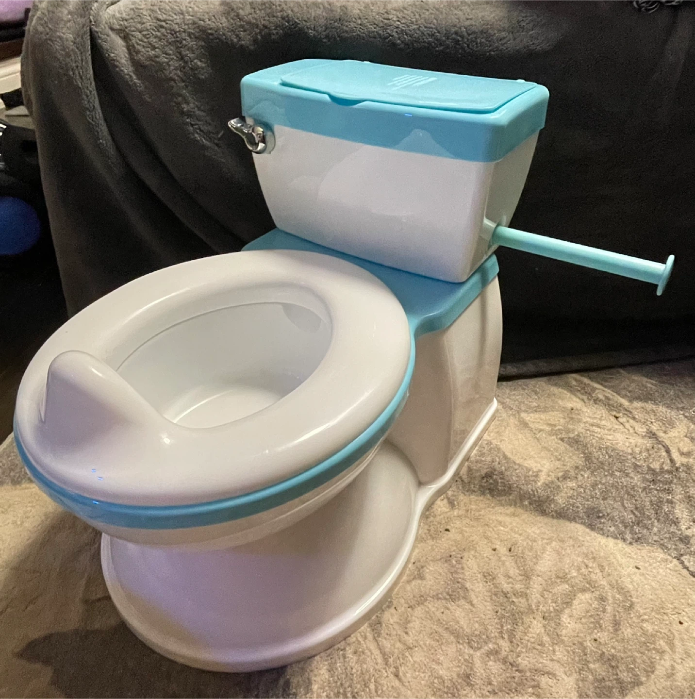 Training Toilet
