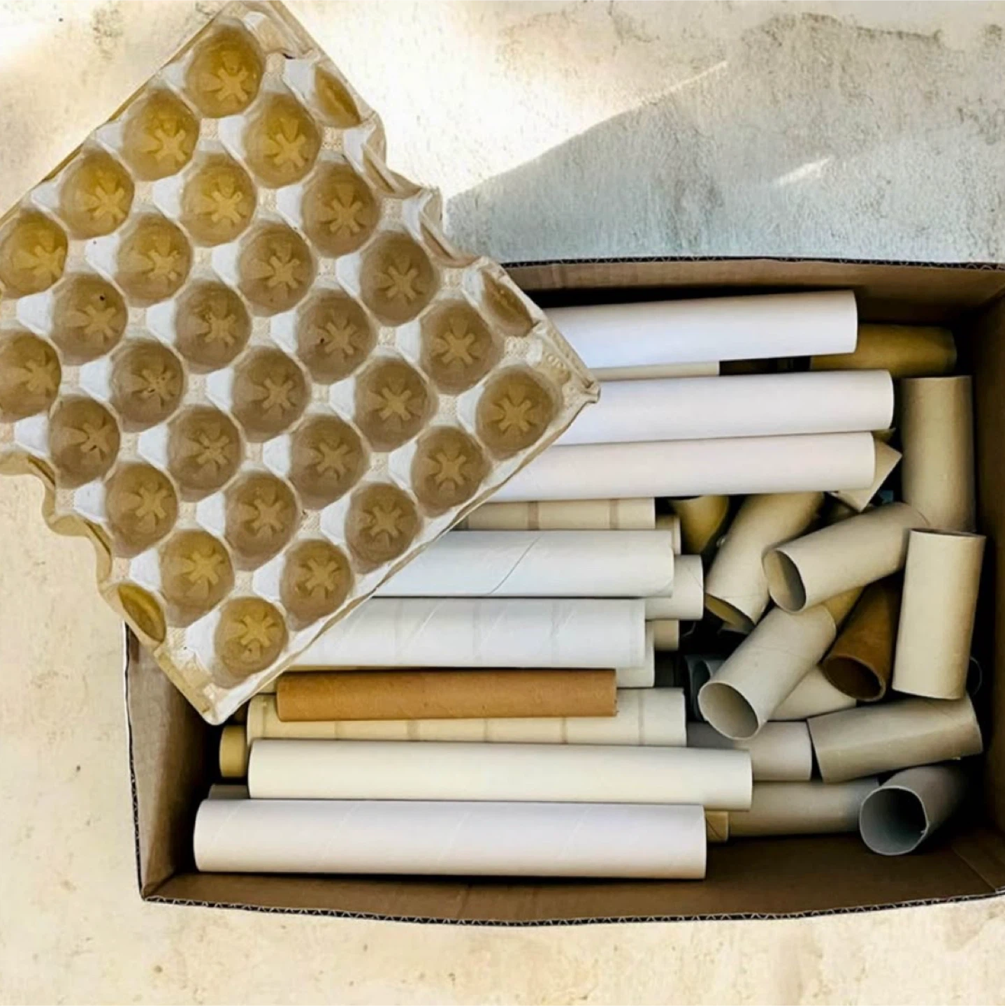 Paper rolls