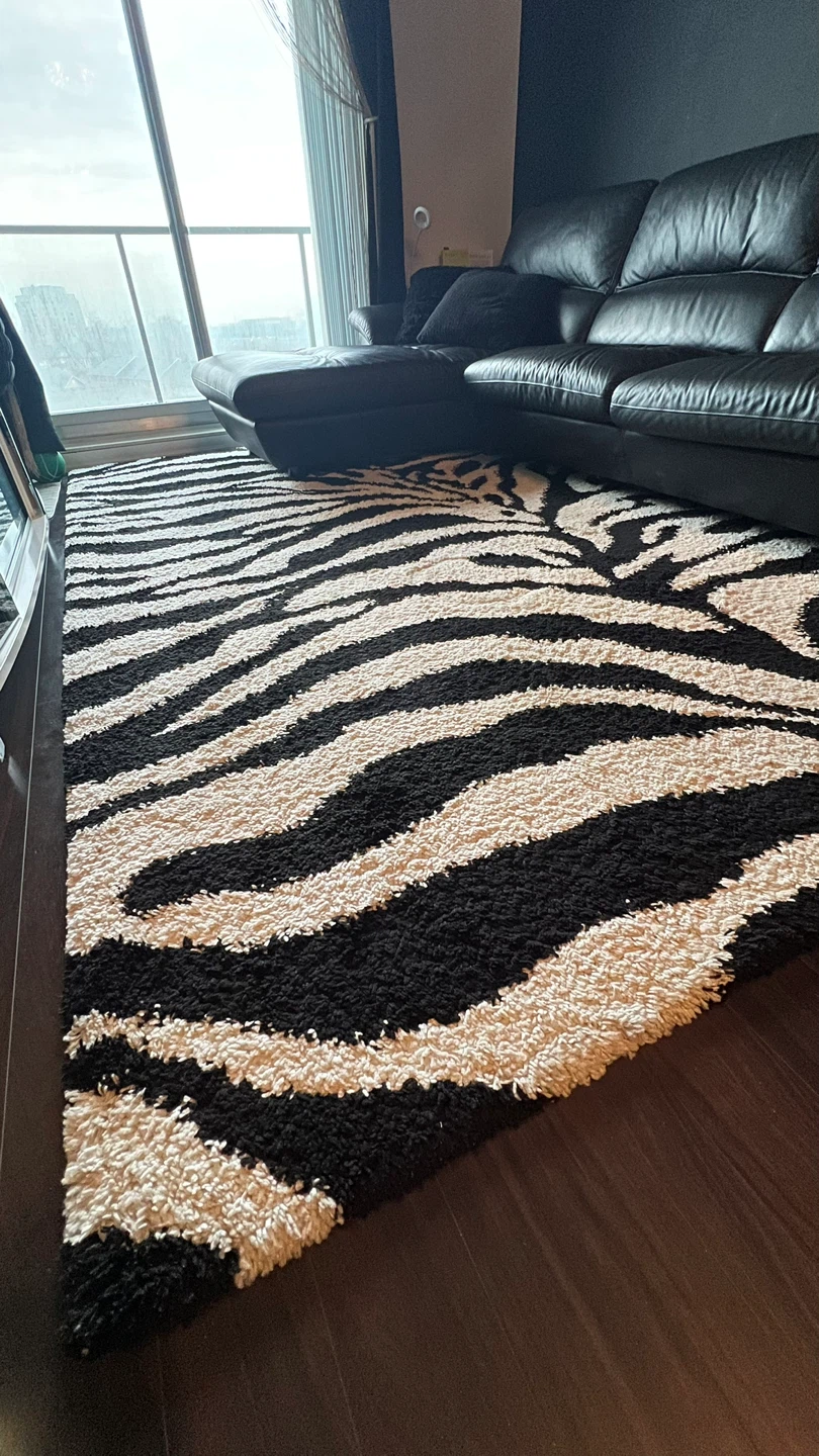 Colton Shag Performance Animal Print Rug - Zebra