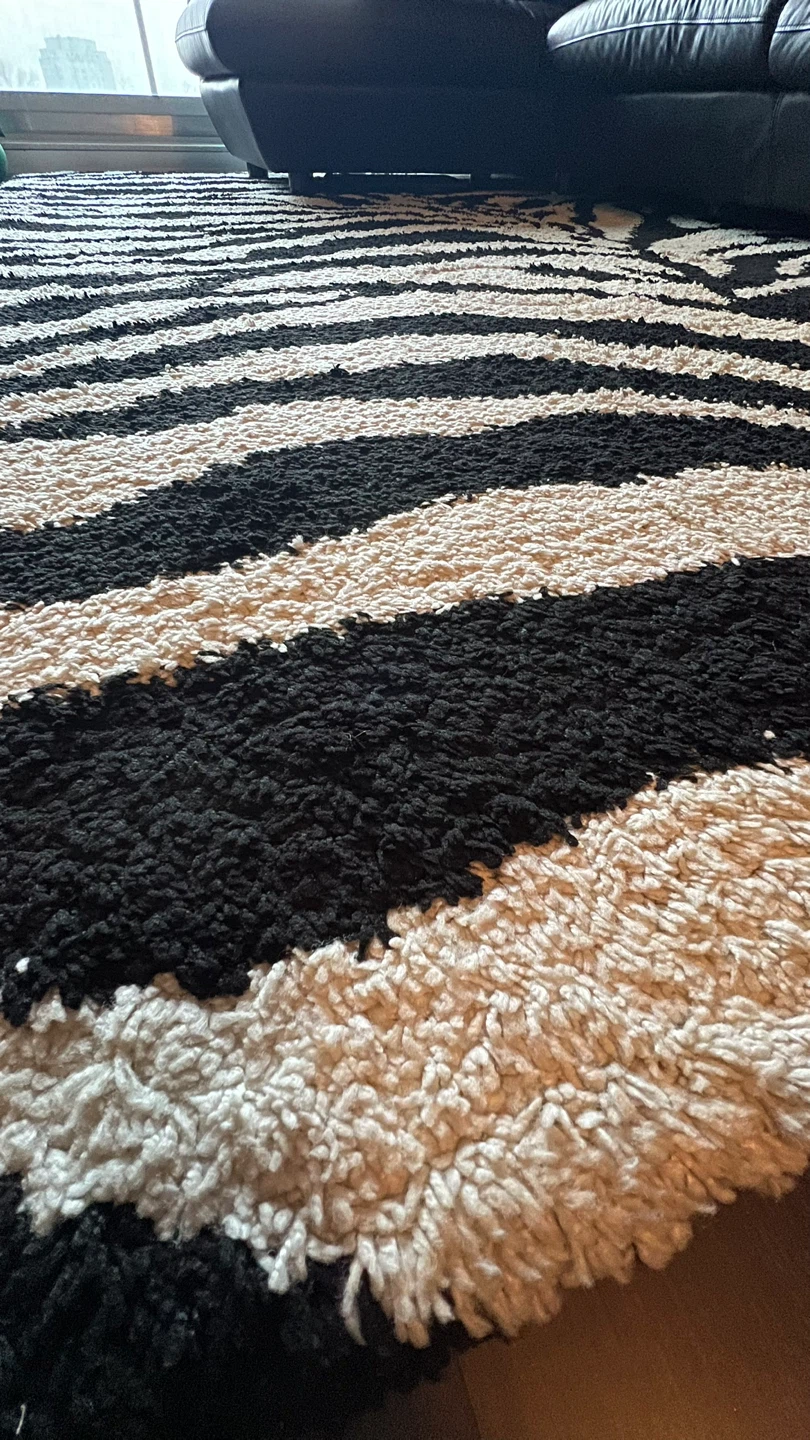Colton Shag Performance Animal Print Rug - Zebra - photo 2