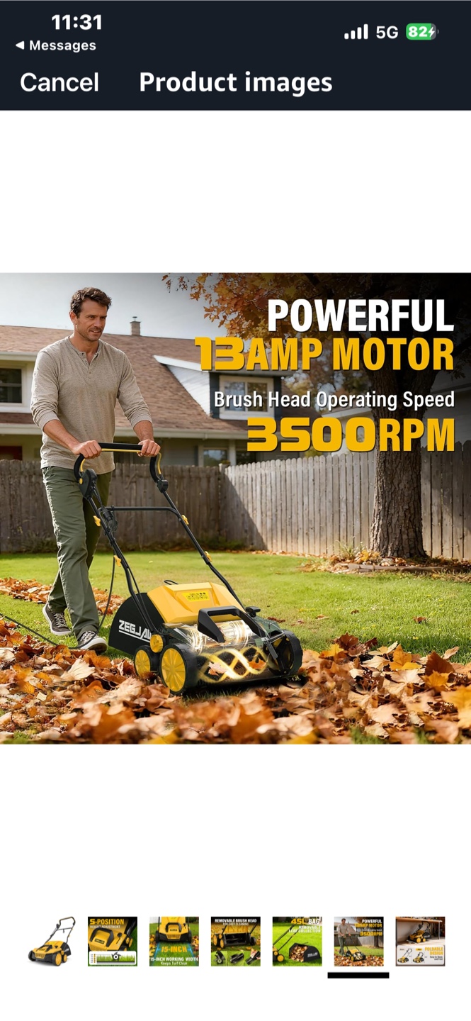 Zegjaw 15-Inch Electric Lawn Dethatcher