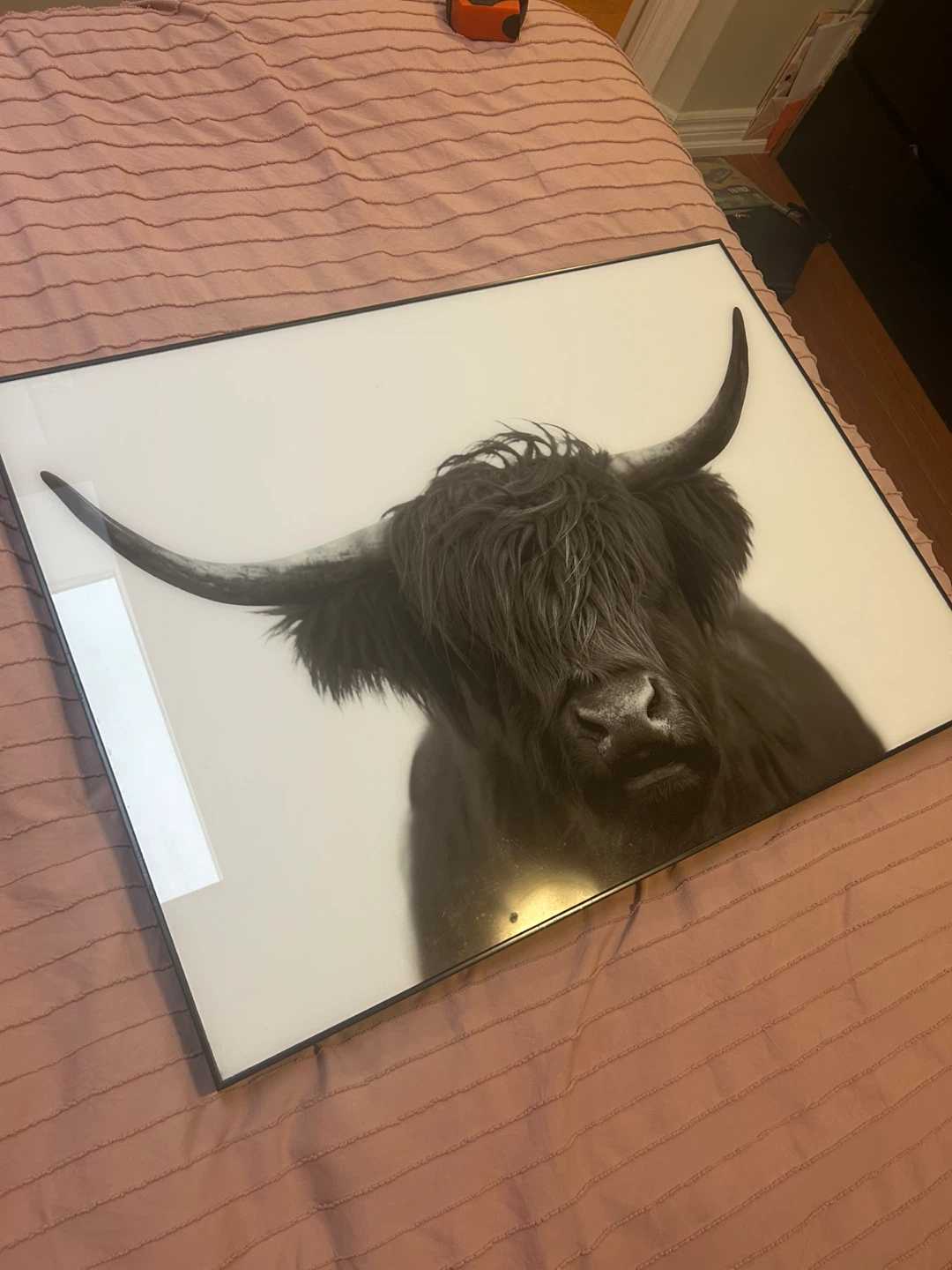 Framed Highland Cow Wall Art