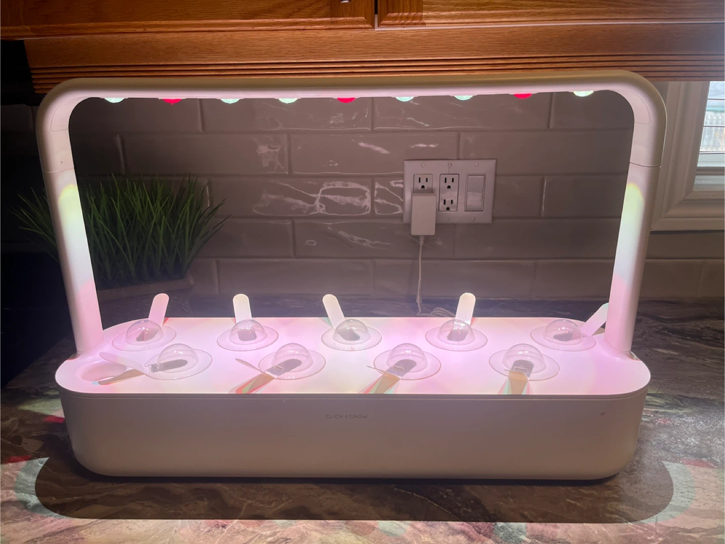 Click & Grow Smart Garden 9 - photo 2