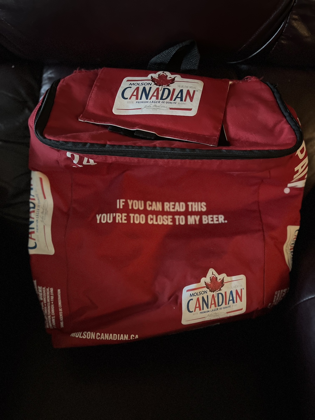 Vintage Molson Canadian Cooler Bag