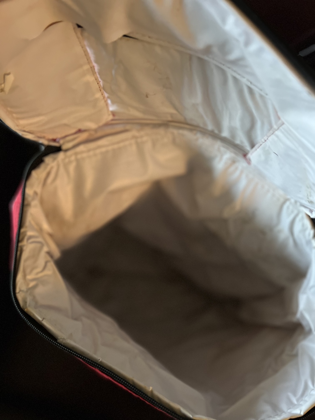 Vintage Molson Canadian Cooler Bag - photo 4