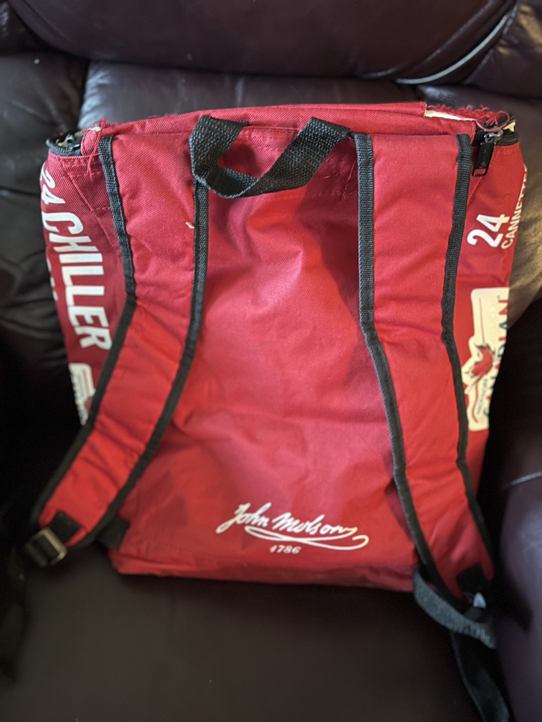 Vintage Molson Canadian Cooler Bag - photo 2