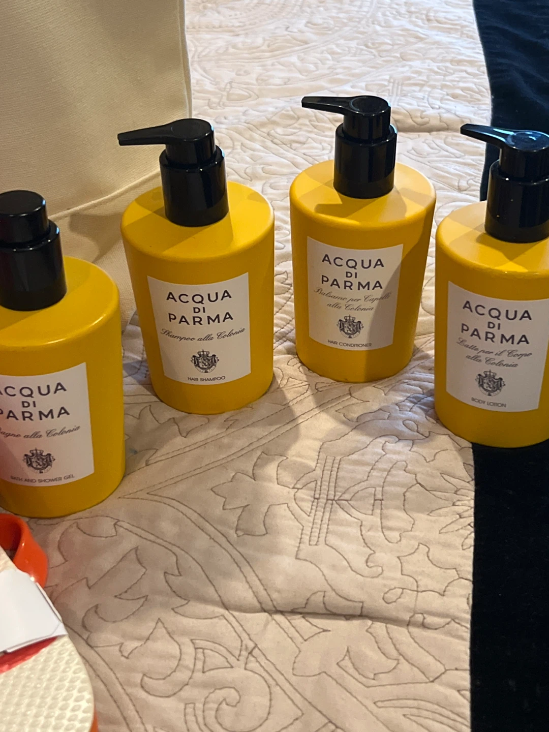 Acqua di Parma Beach Set with Tote and Flip Flops - photo 3