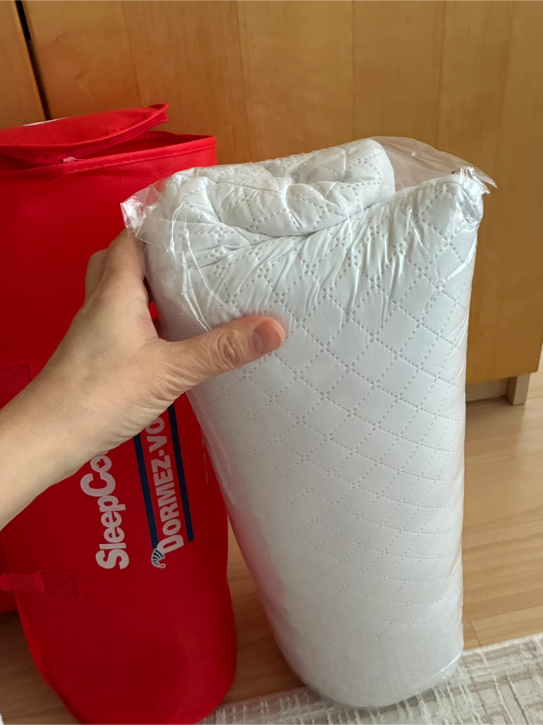 BNWT—2 Sleep Country Travel Pillows - photo 2