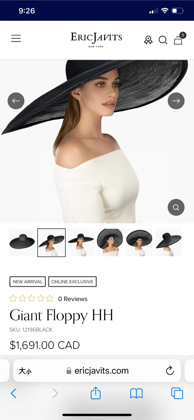 Eric Javits Giant Floppy Hat Black - photo 2