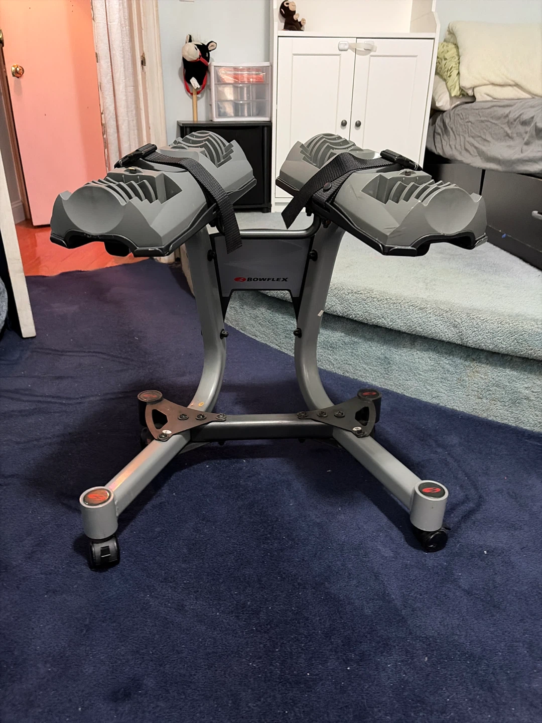 Bowflex SelectTech 552 Adjustable Dumbbells with Stand