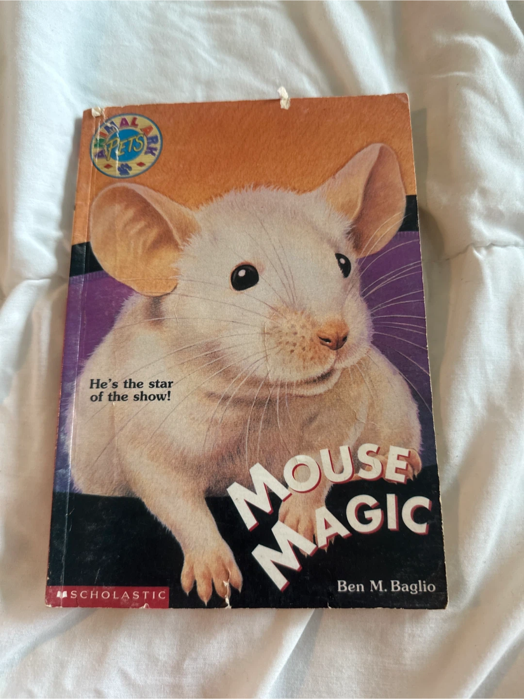Mouse Magic Children's Book by Ben M. Baglio