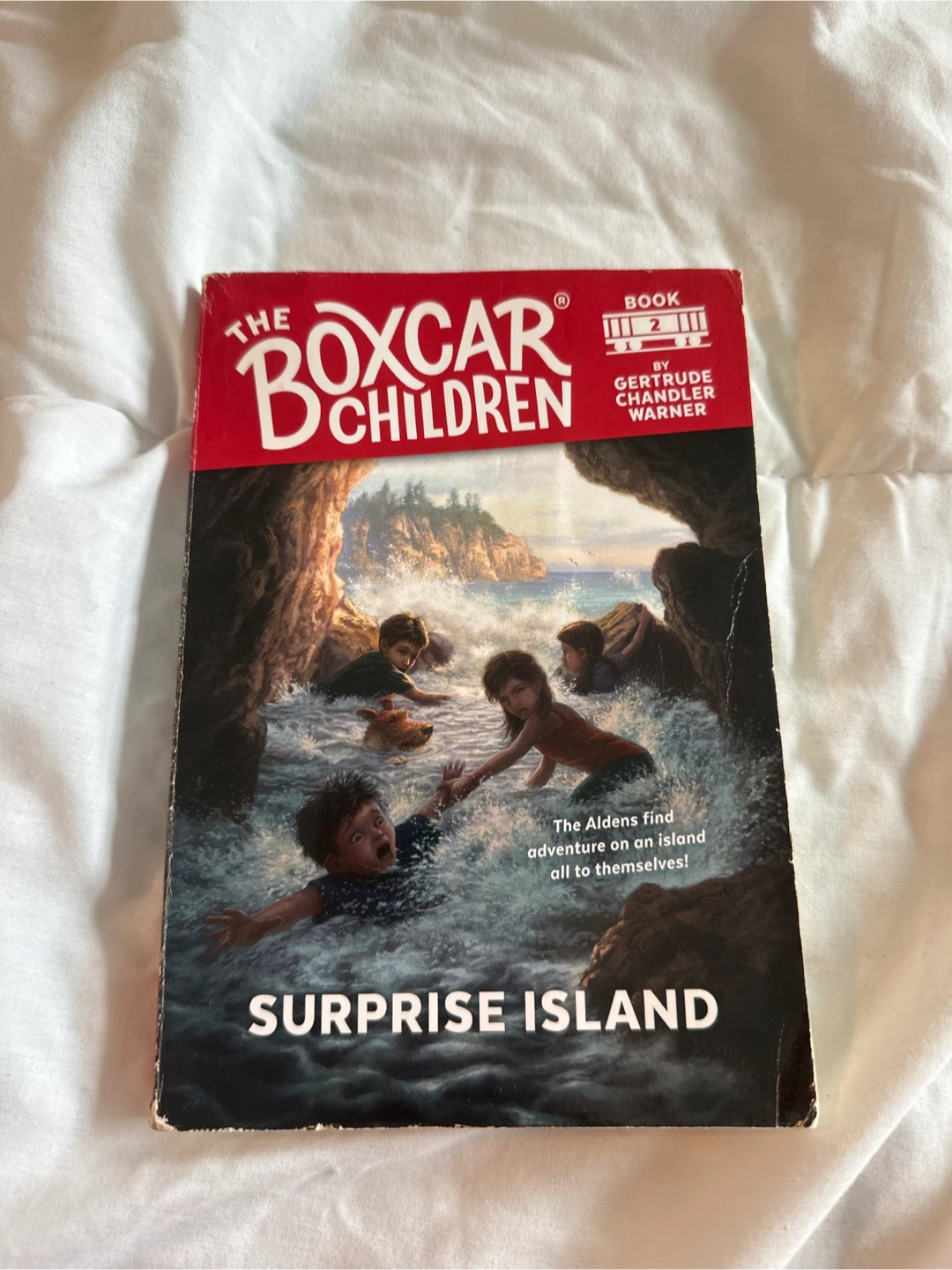 The Boxcar Children Surprise Island Book 2