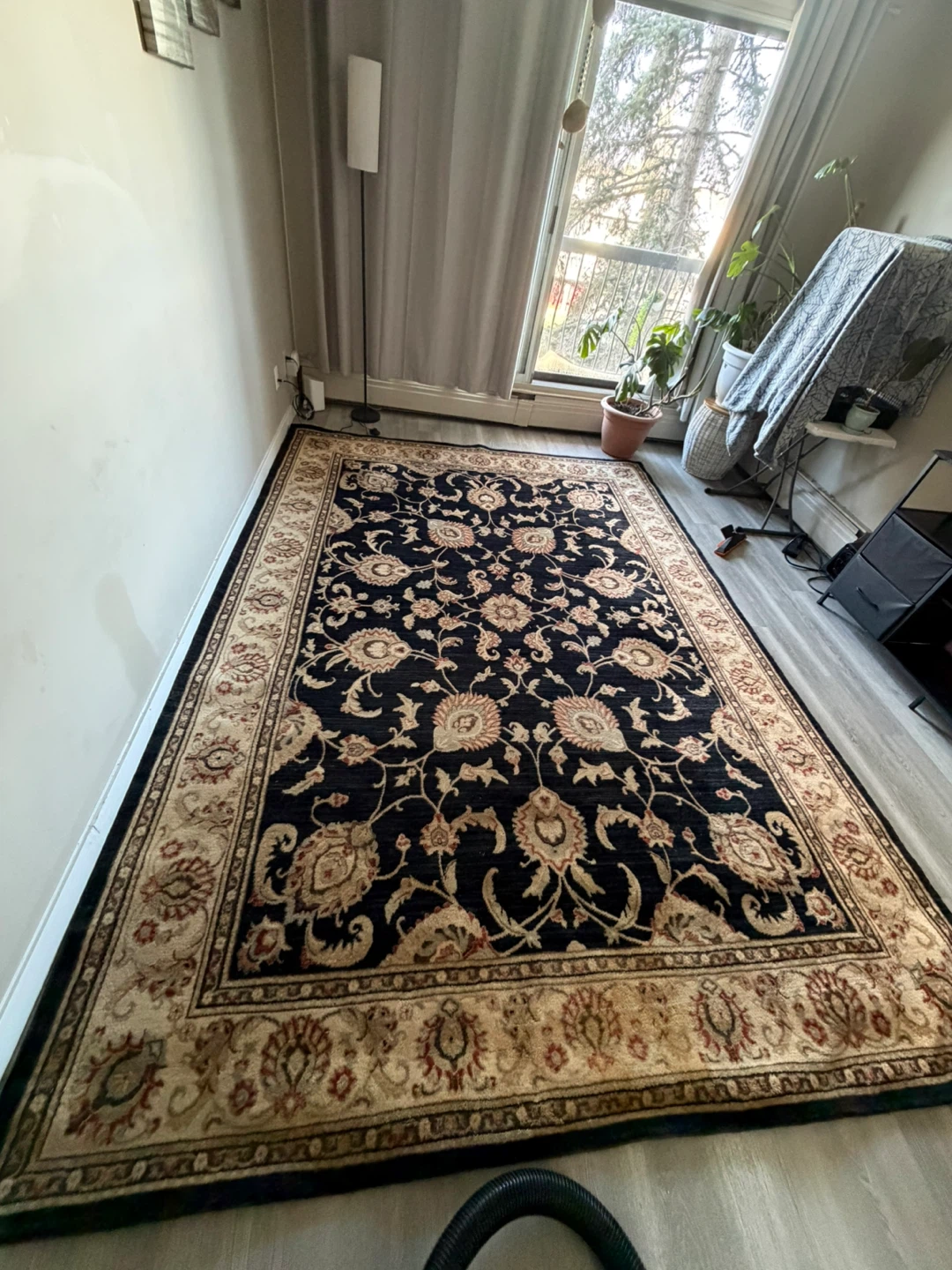 Large Persian Style Rug