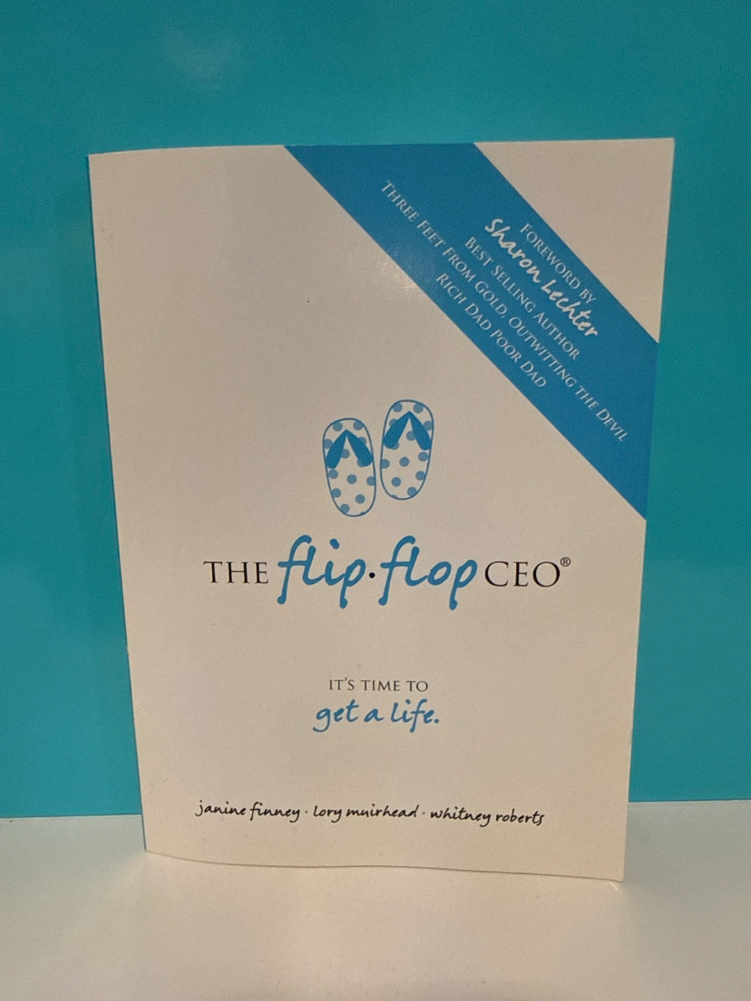 The Flip-Flop CEO Book