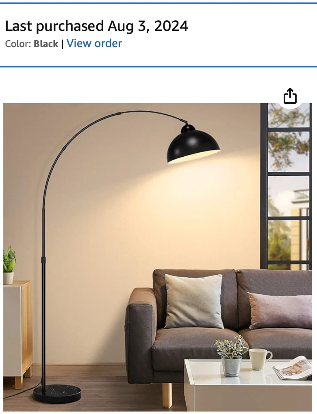 Black Arc Floor Lamp