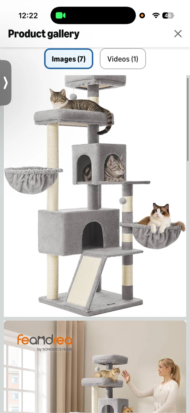 Cat Tree (Almost New)