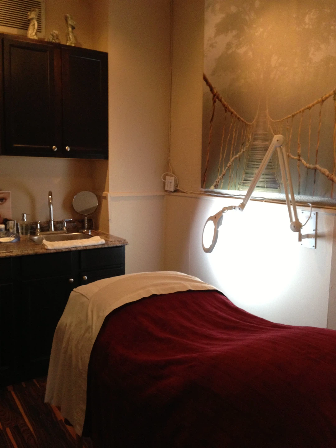 Magnifying Spa Lamp (Wall Mount, Adjustable Arm) - photo 3