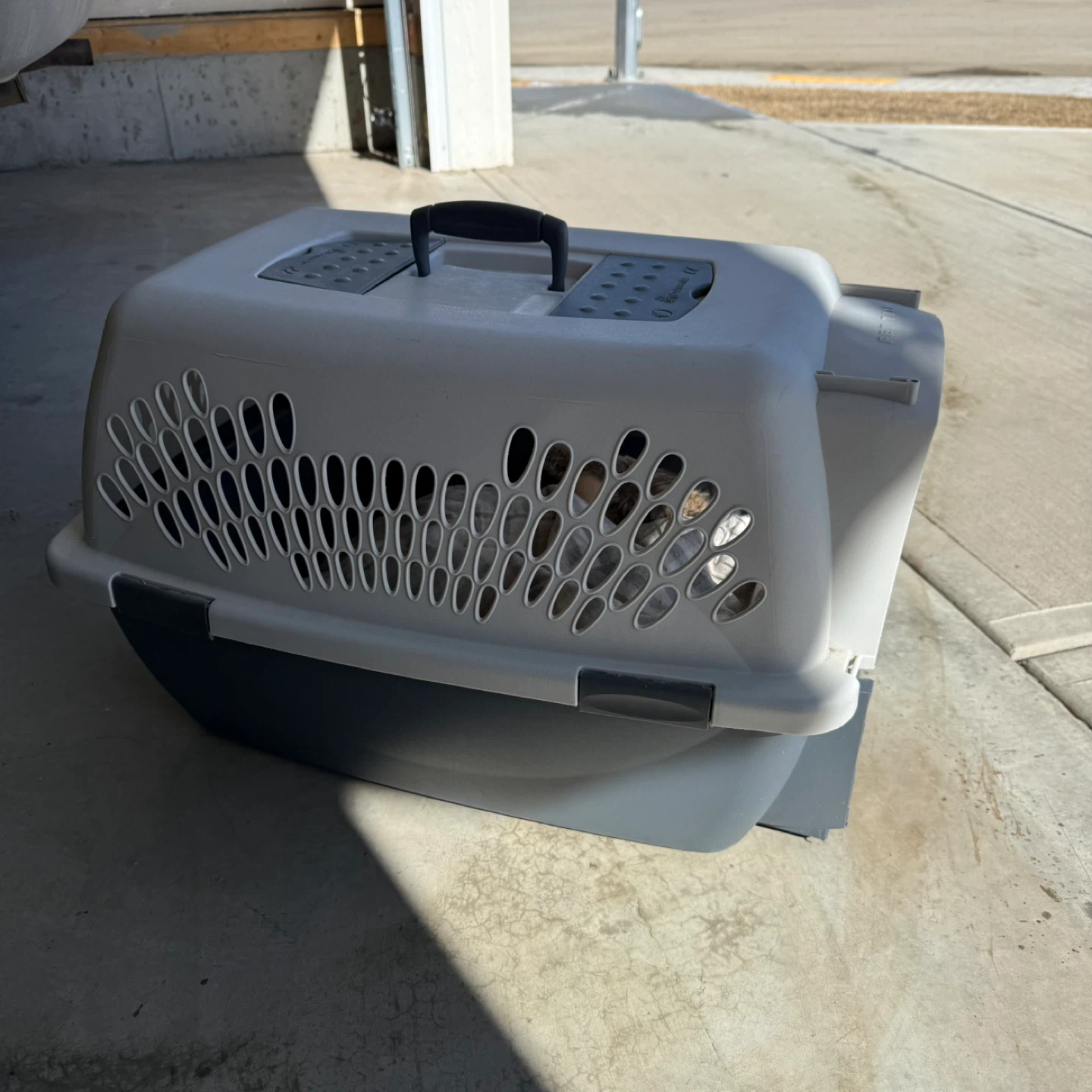 Petmate Pet Taxi Pet Carrier - photo 2