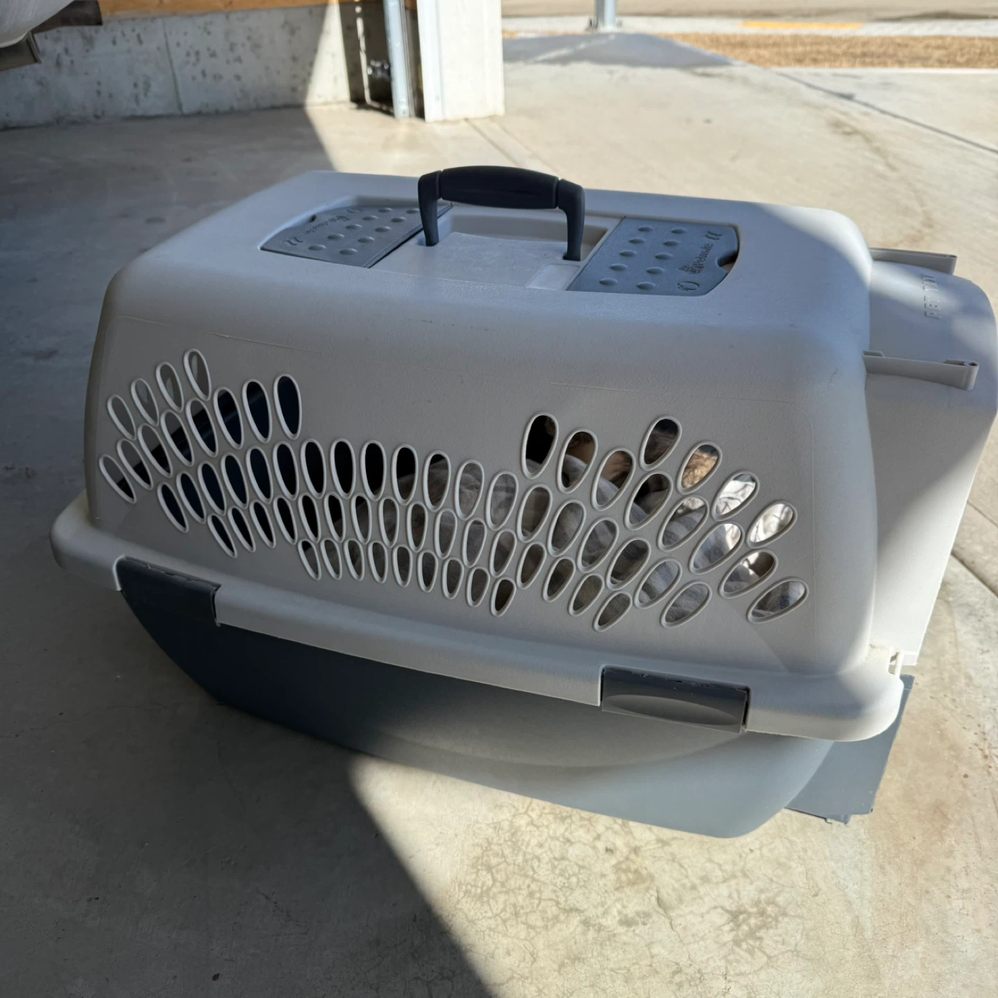 Petmate Pet Taxi Pet Carrier - photo 3