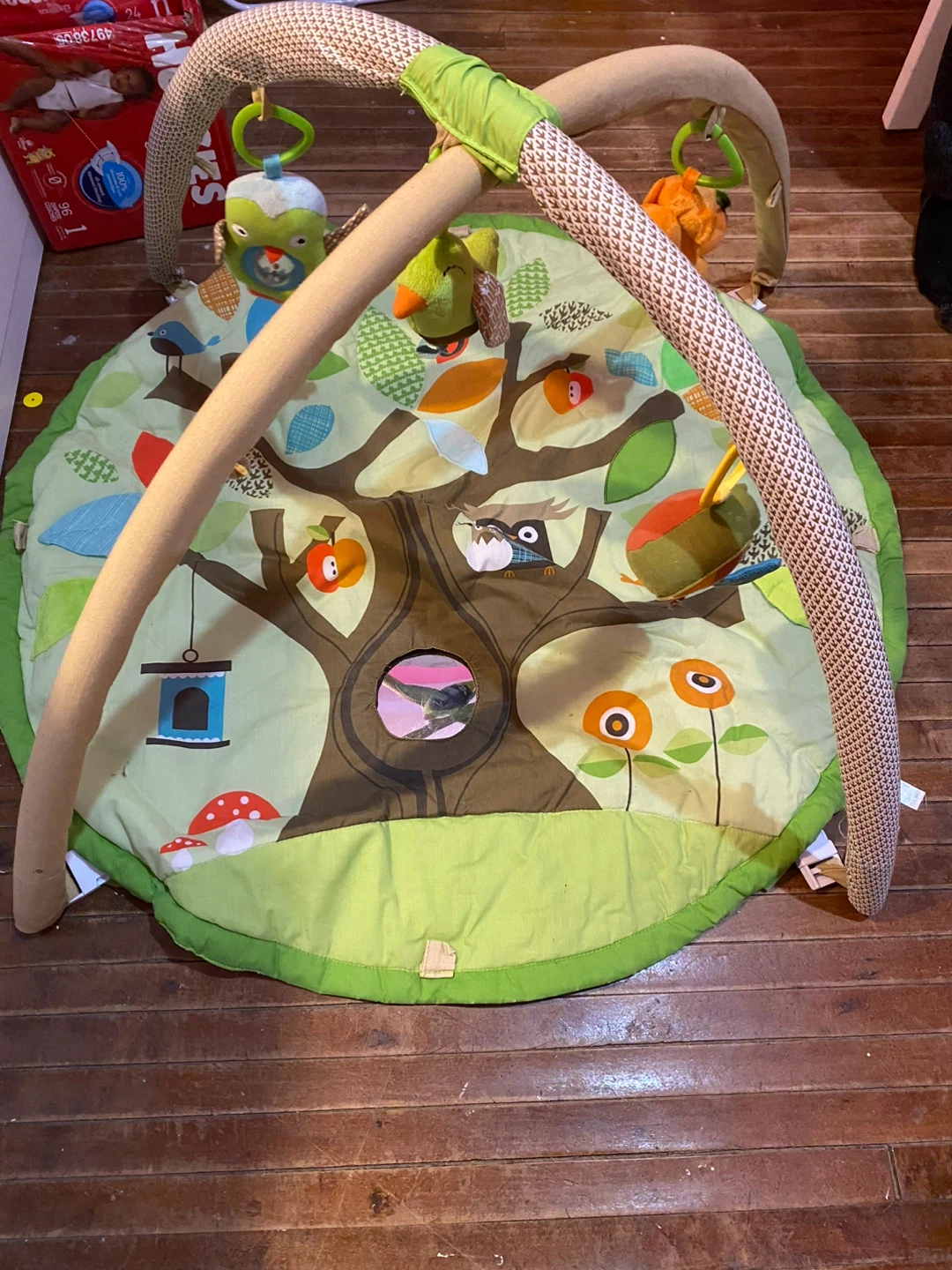 Baby Activity Play Mat with Arches and Toys