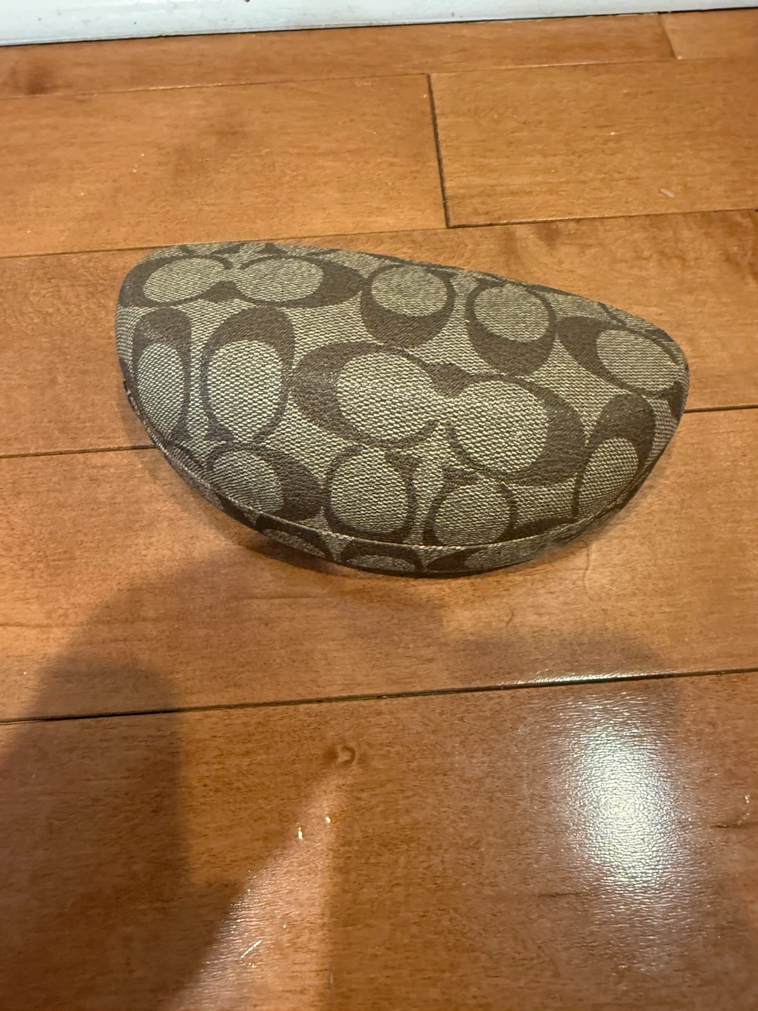 Coach Alberta Sunglasses