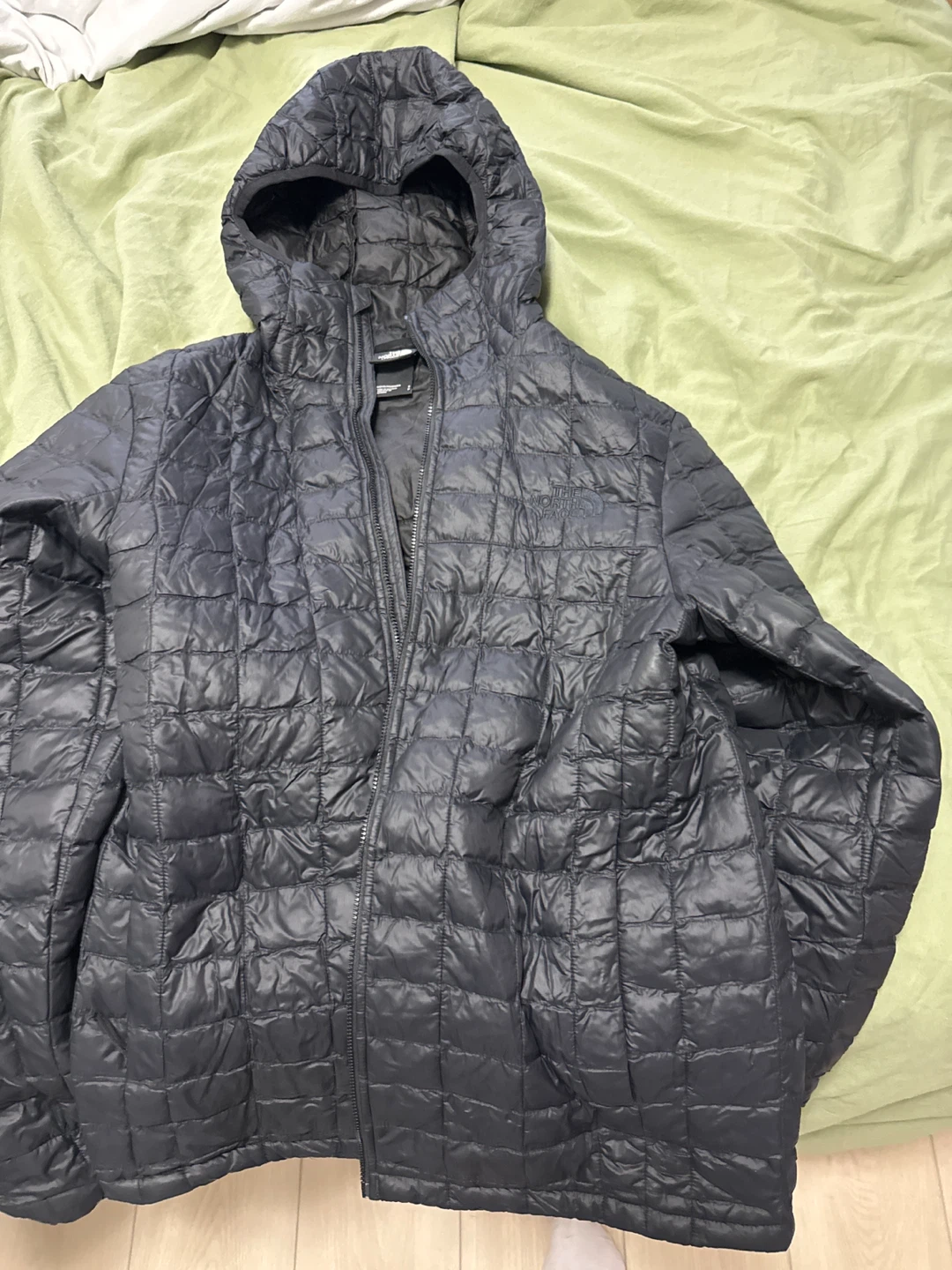 The North Face Hooded Puffer Jacket