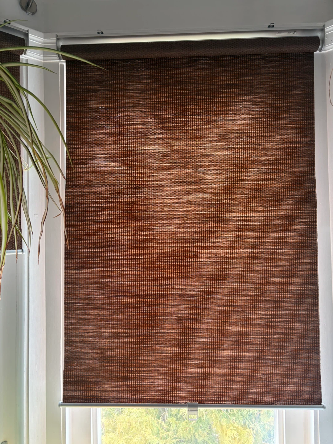 IKEA BLEKING Roller Blind