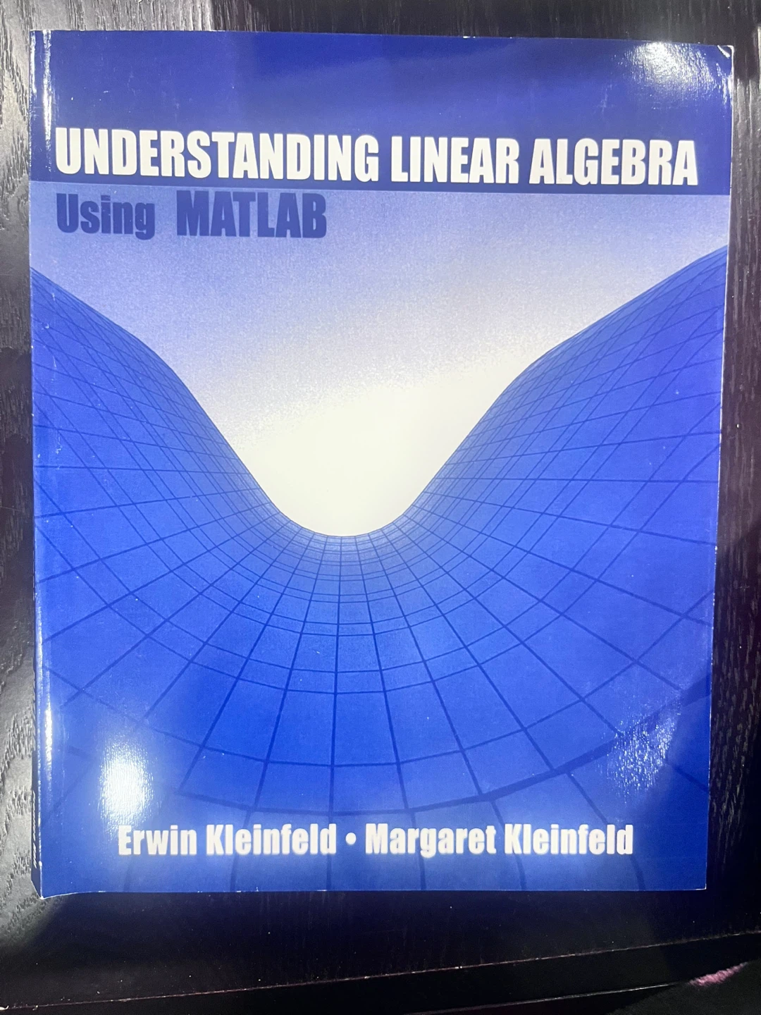 Understanding Linear Algebra Using MATLAB Book