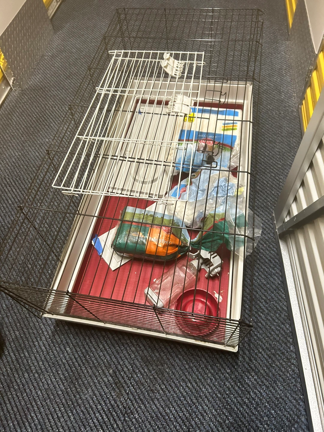 Guinea pig cage